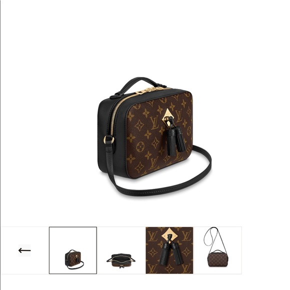 Louis Vuitton shoulder/Crossbody - Picture 5 of 7